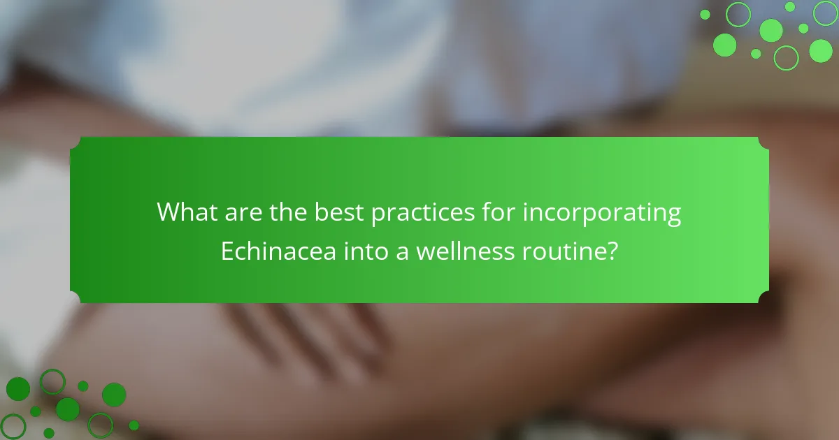 What are the best practices for incorporating Echinacea into a wellness routine?
