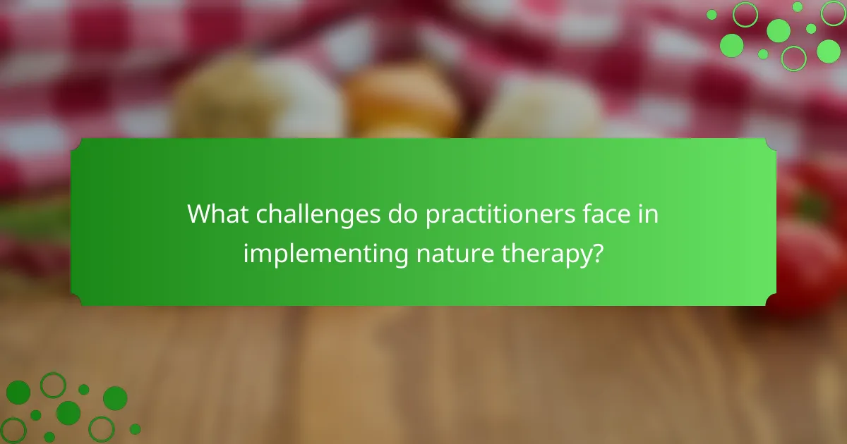 What challenges do practitioners face in implementing nature therapy?