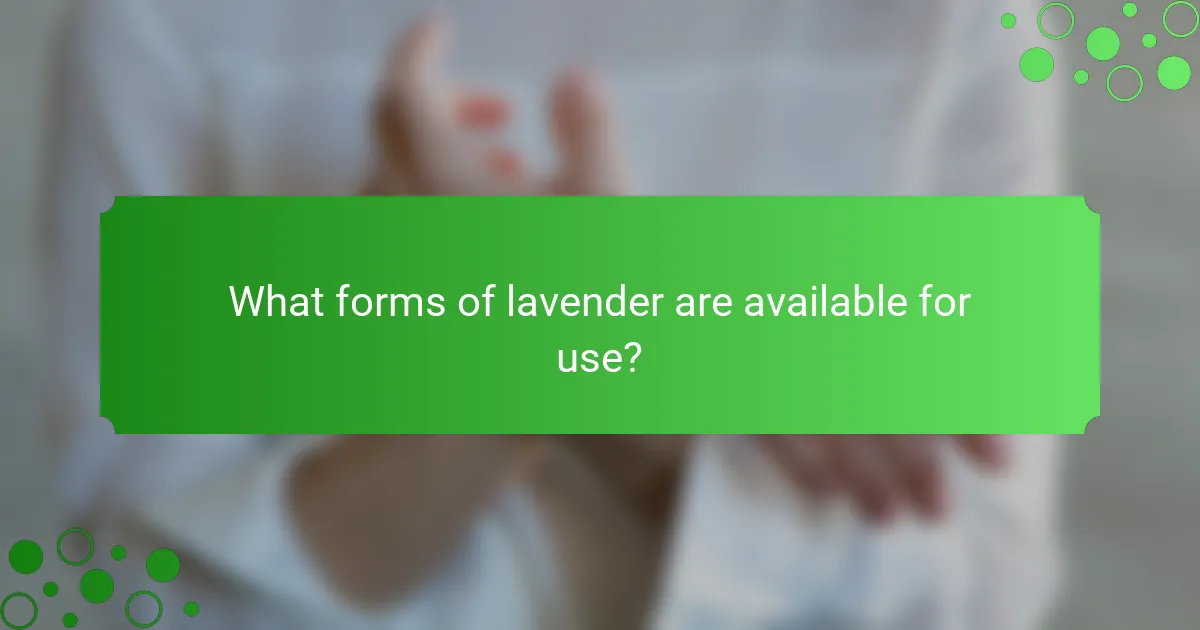 What forms of lavender are available for use?