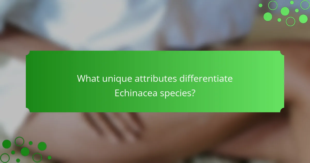 What unique attributes differentiate Echinacea species?