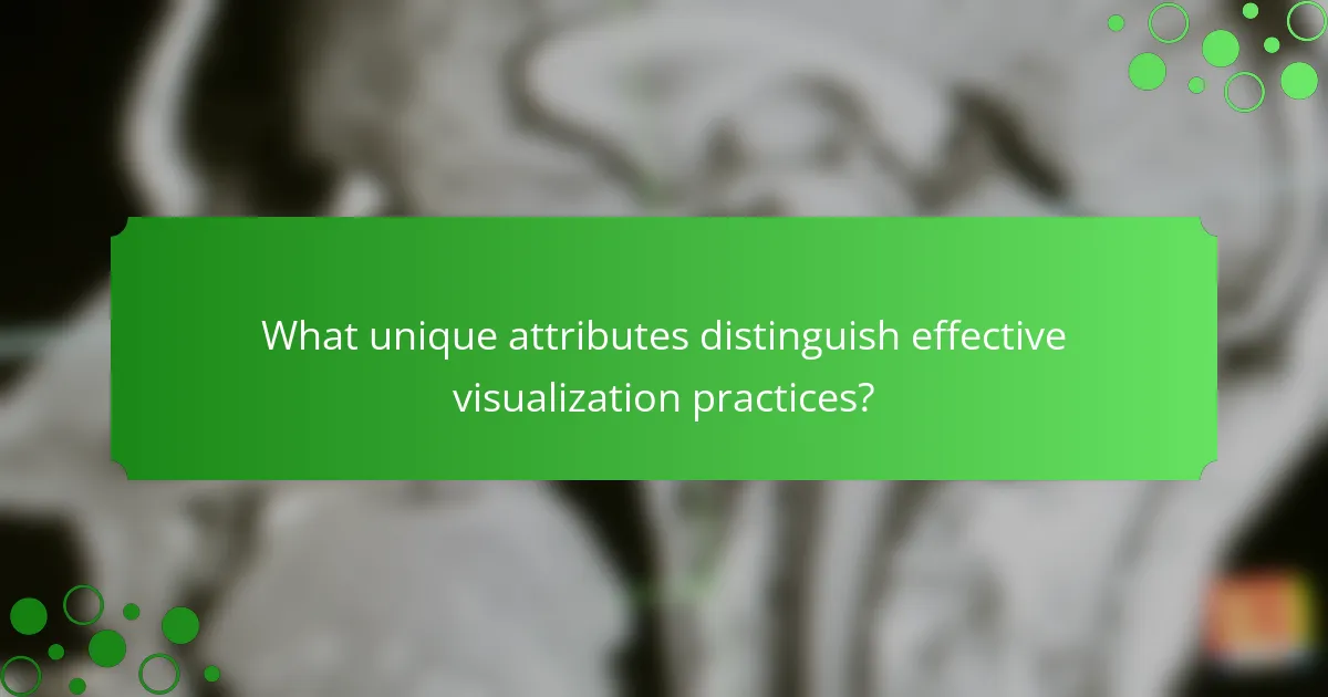 What unique attributes distinguish effective visualization practices?