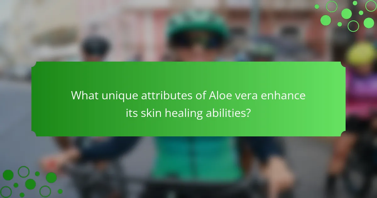 What unique attributes of Aloe vera enhance its skin healing abilities?