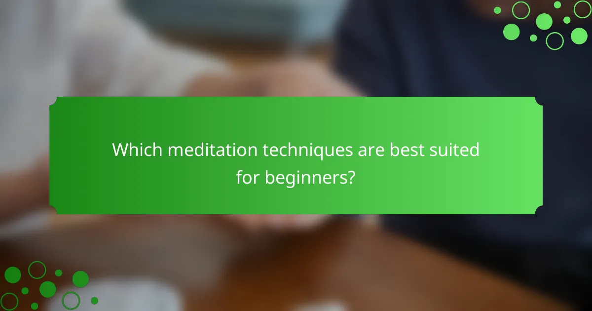 Which meditation techniques are best suited for beginners?